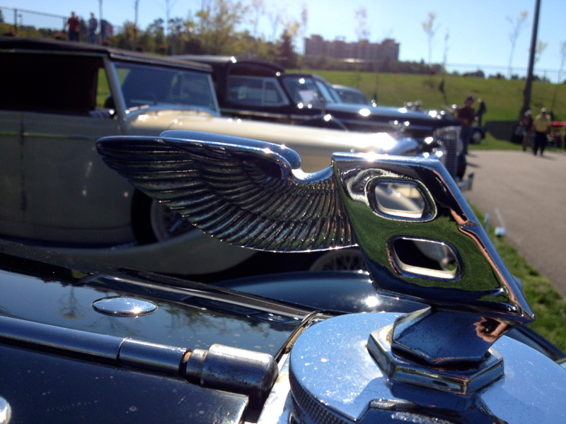 Illustration for article titled Detail Photo Dump from Kirkland Concours!